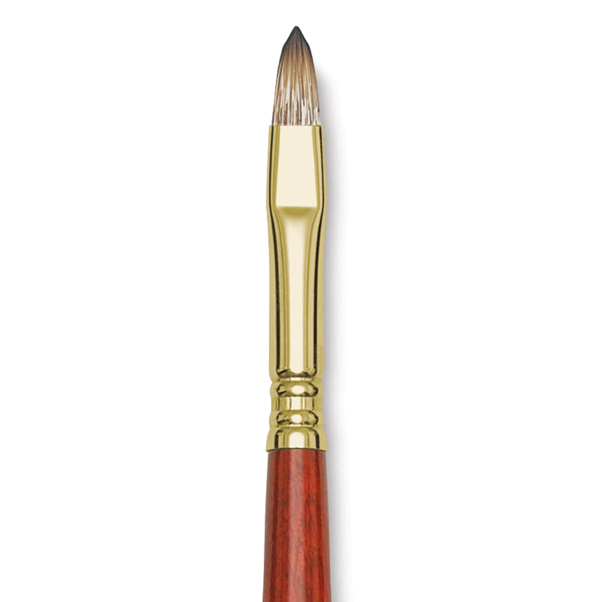 Blick Master Synthetic Brush - Filbert, Long Handle, Size 8, close-up
