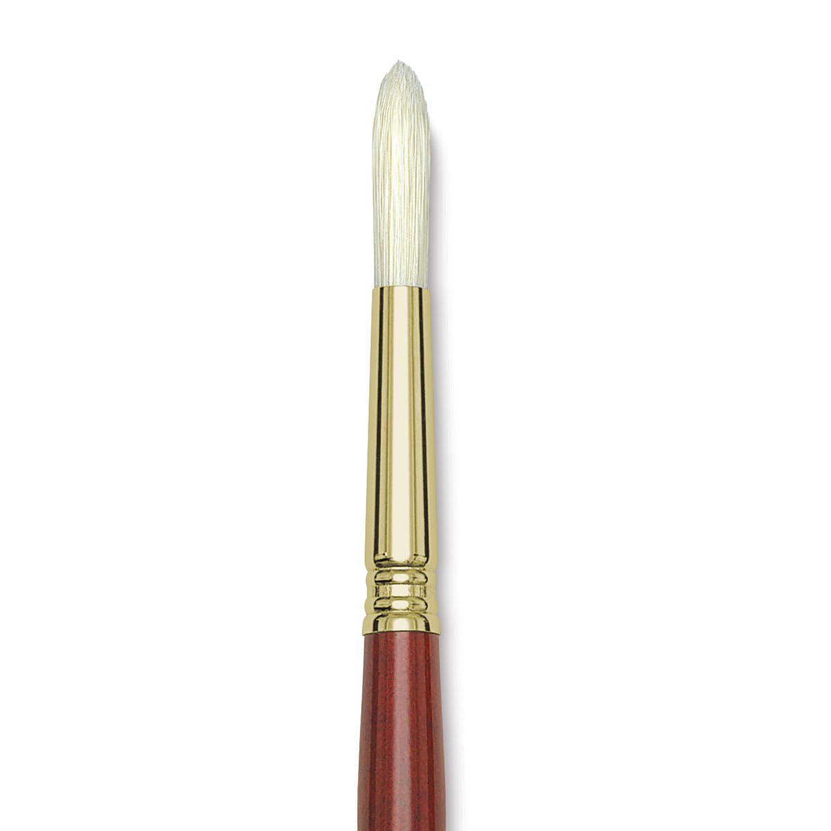 Blick Master Bristle Brush - Round, Long Handle, Size 12 close up