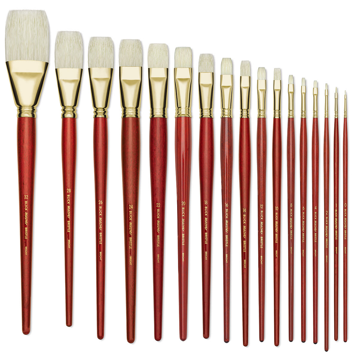 Blick Master Bristle Brushes - A range of sizes of Bright Brushes shown upright Blick Master Bristle Brushes - A range of sizes of Bright Brushes shown upright