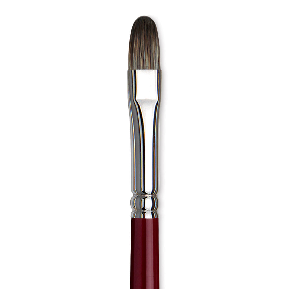 Da Vinci Black Sable Brush - Regular Filbert, Long Handle, Size 10 close up