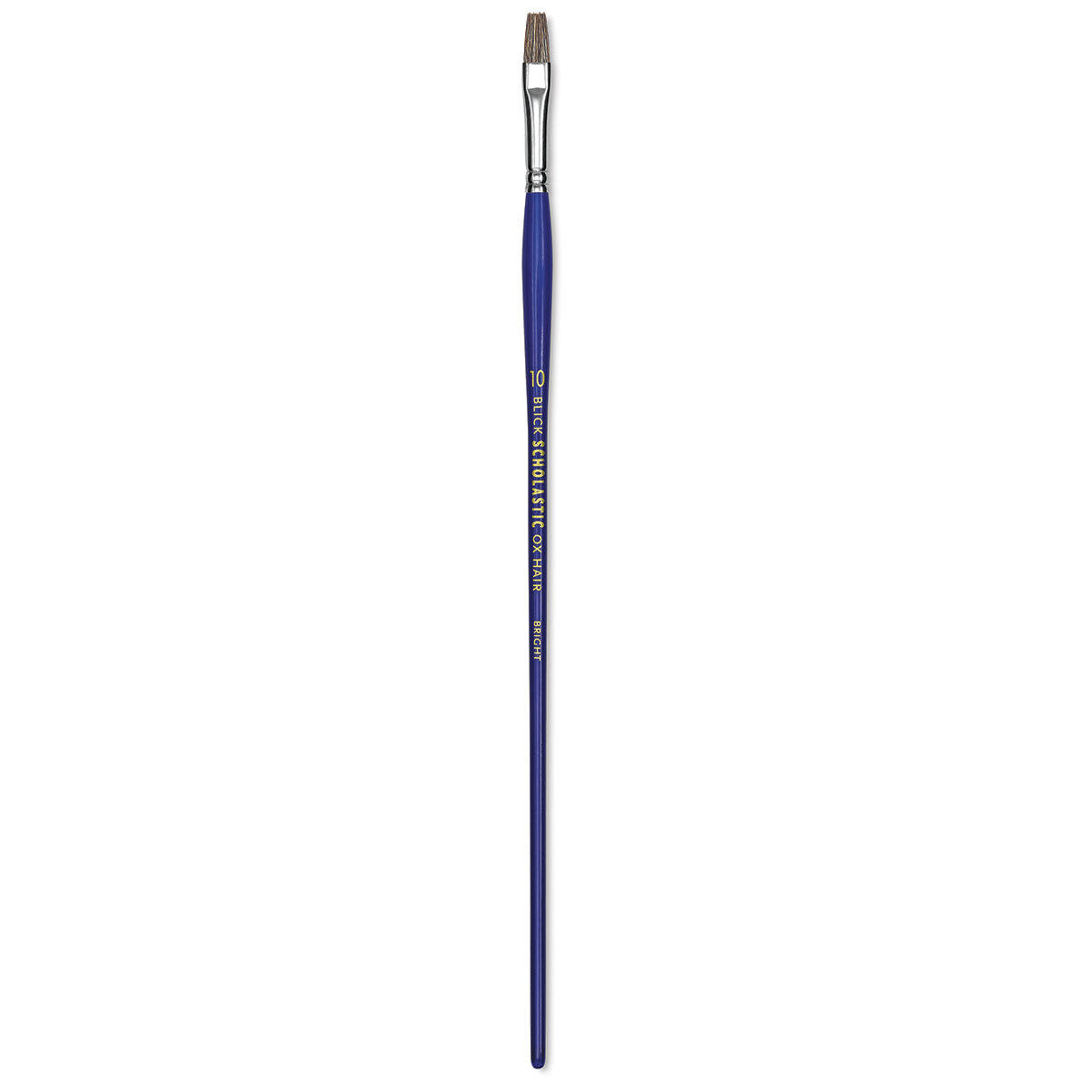 Blick Scholastic Ox Hair Brush - Bright, Long Handle, Size 10
