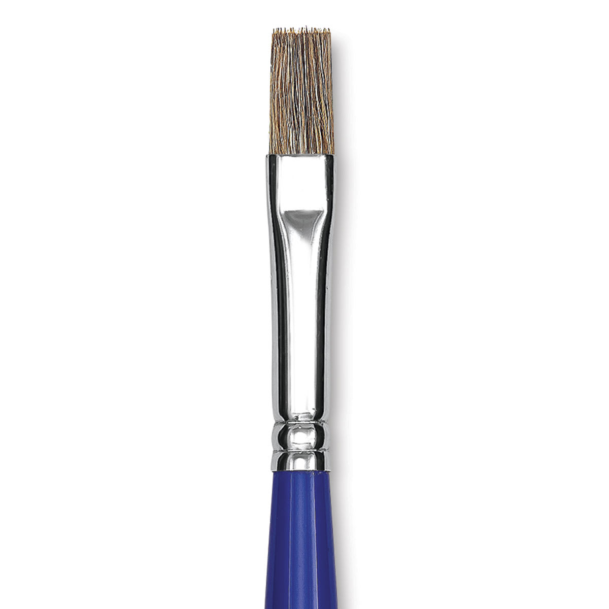 Blick Scholastic Ox Hair Brush - Bright, Long Handle, Size 12 close up