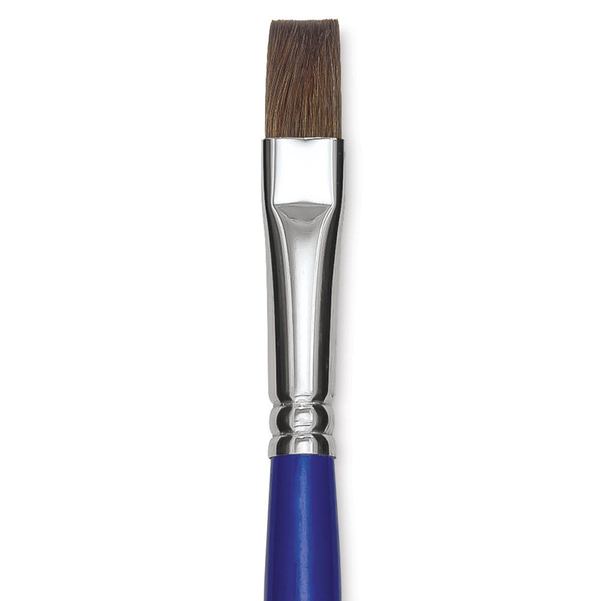 Blick Scholastic Red Sable Brush - Bright, Long Handle, Size 12 close up