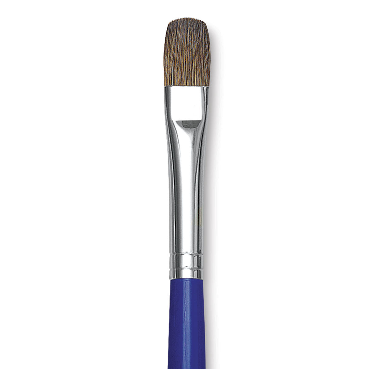 Blick Scholastic Red Sable Brush - Filbert, Long Handle, Size 10 close up