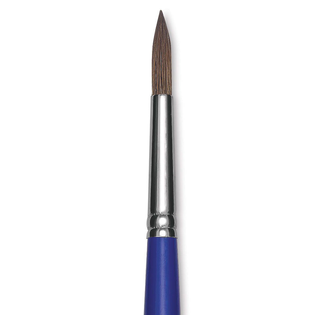 Blick Scholastic Red Sable Brush - Round, Long Handle, Size 10 close up