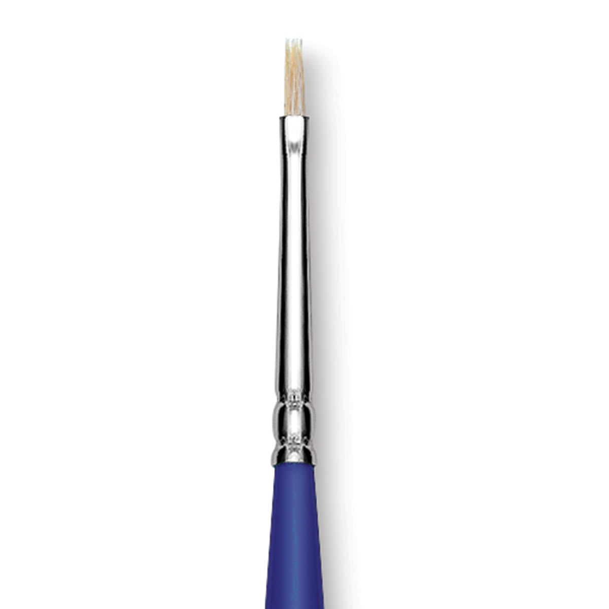 Blick Scholastic White Bristle Brush - Flat, Size 0 close up