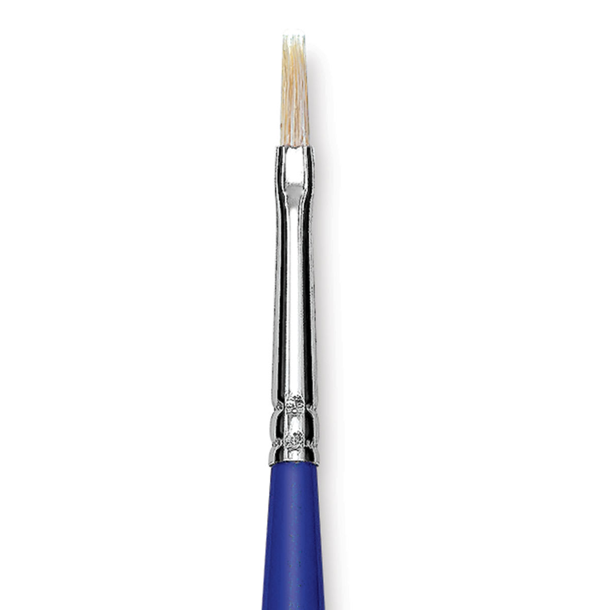 Blick Scholastic White Bristle Brush - Flat, Size 2 close up