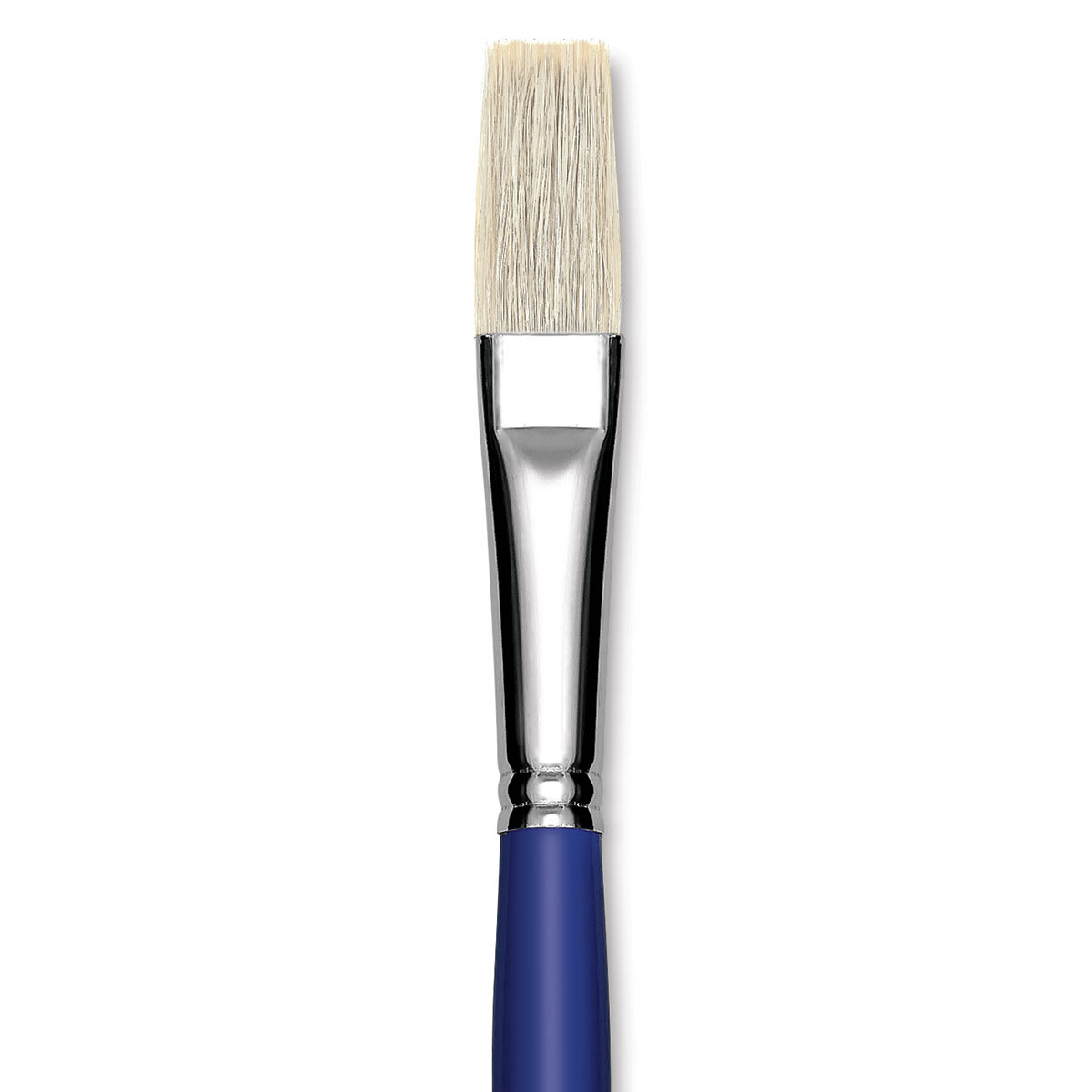 Blick Scholastic White Bristle Brush - Flat, Size 16 close up