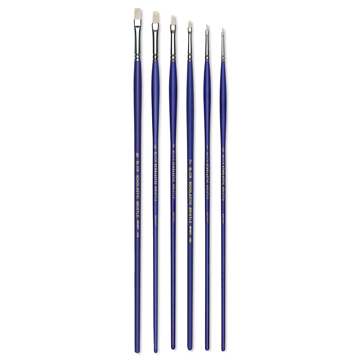 Blick Scholastic White Bristle Brush Set - Bright, Set of 6