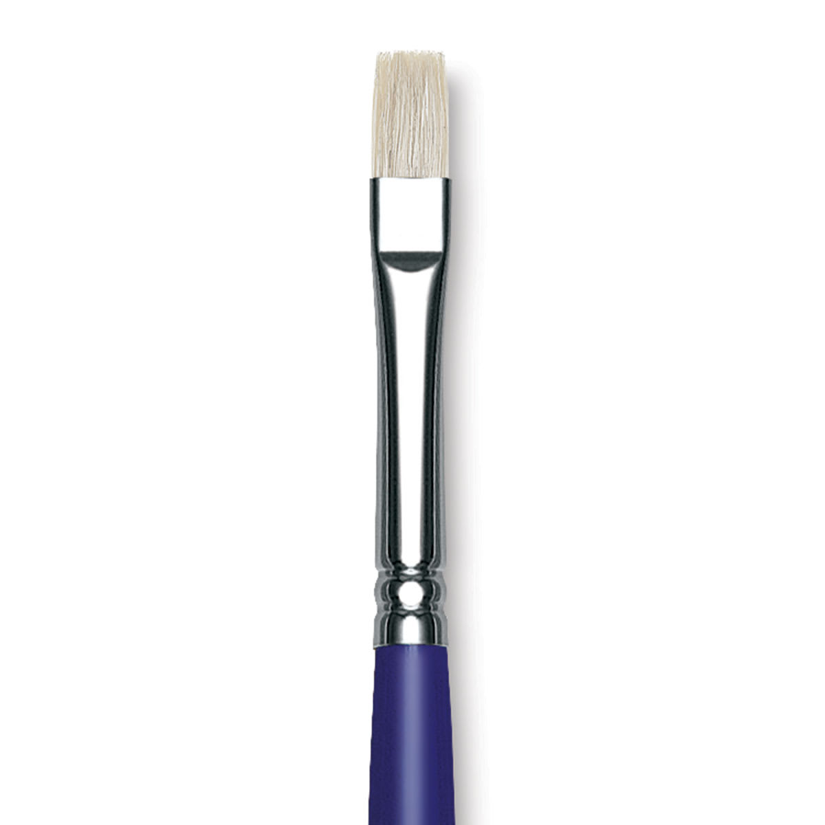 Blick Scholastic White Bristle Brush - Bright, Size 8 close up