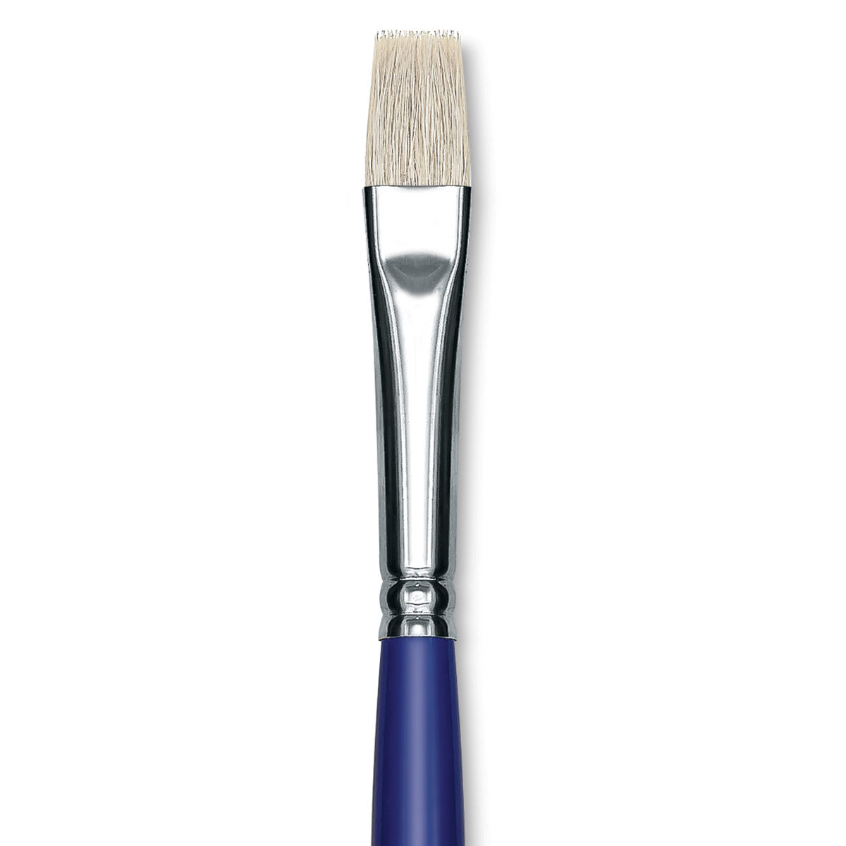 Blick Scholastic White Bristle Brush - Bright, Size 12 close up