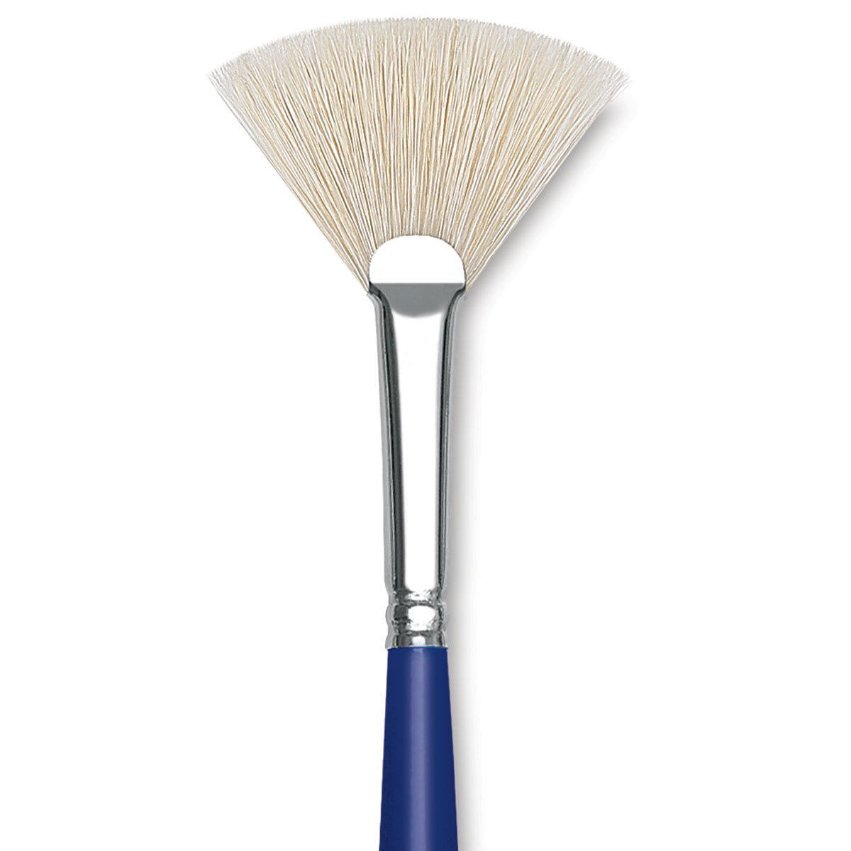 Blick Scholastic White Bristle Brush - Fan, Size 4 close up