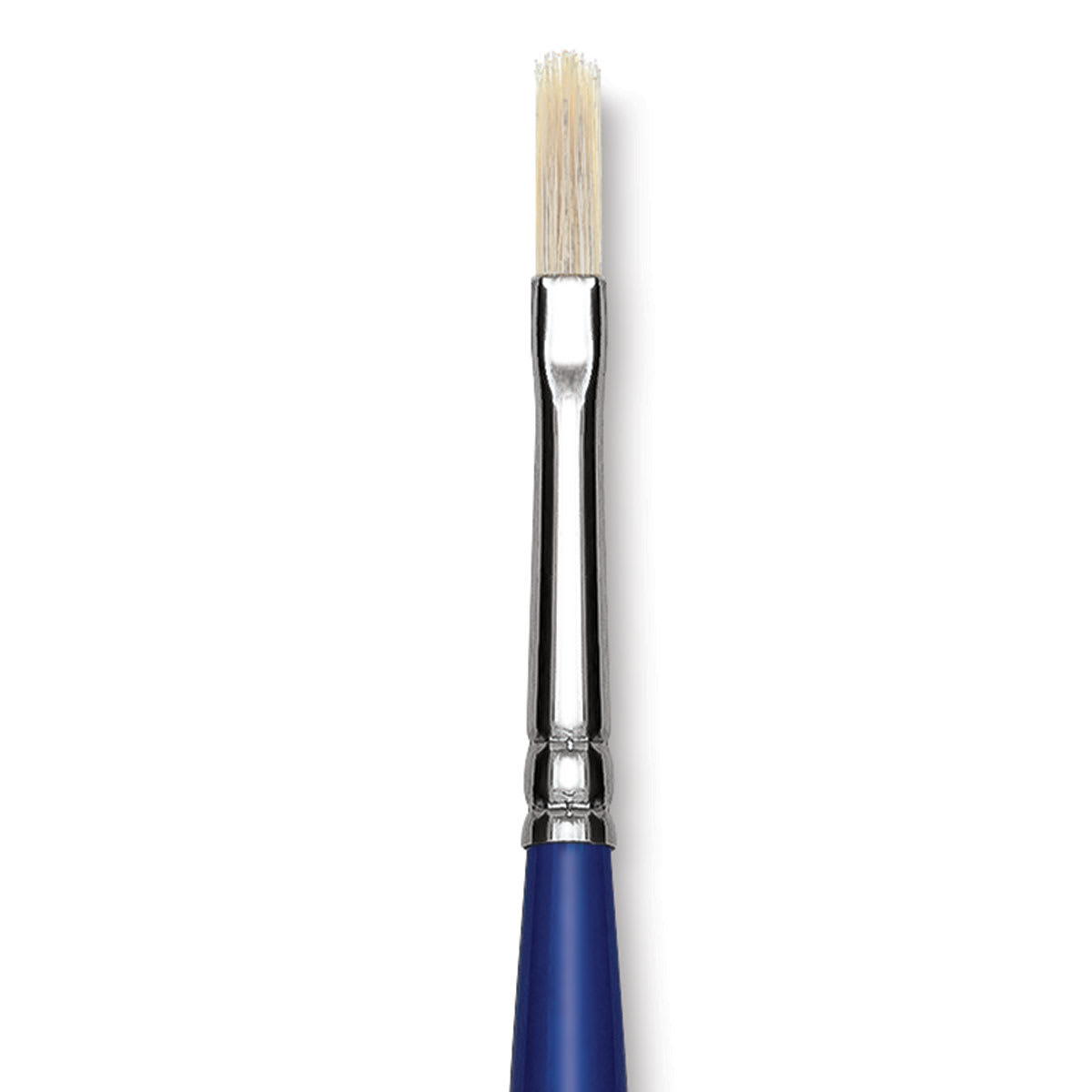 Blick Scholastic White Bristle Brush - Filbert, Size 4 close up