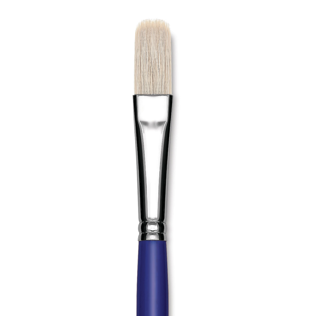 Blick Scholastic White Bristle Brush - Filbert, Size 14 close up
