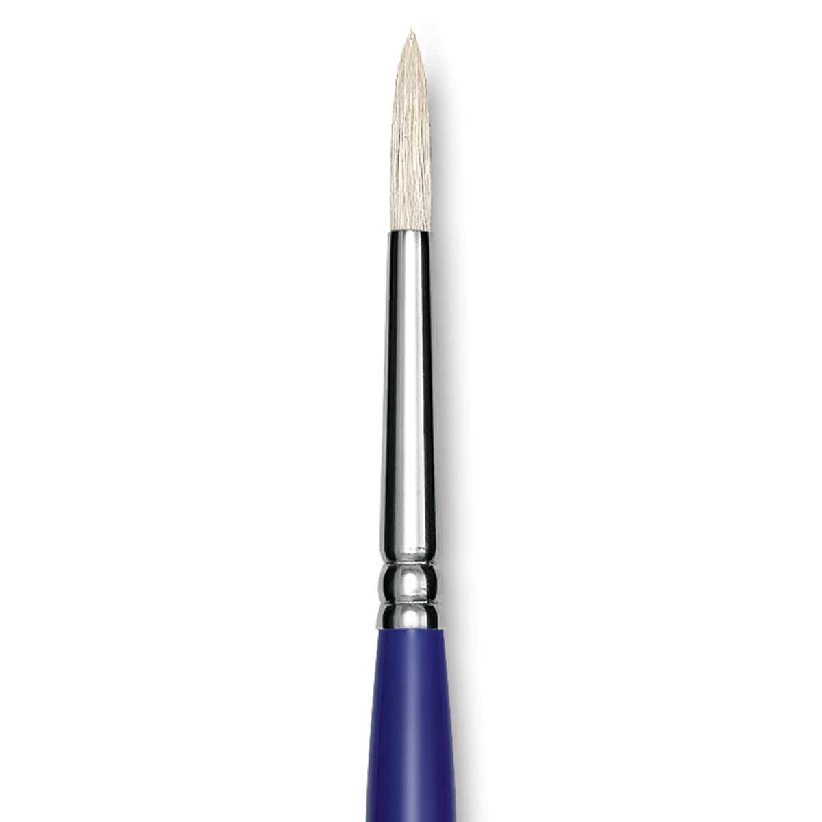 Blick Scholastic White Bristle Brush - Round, Size 6 close up