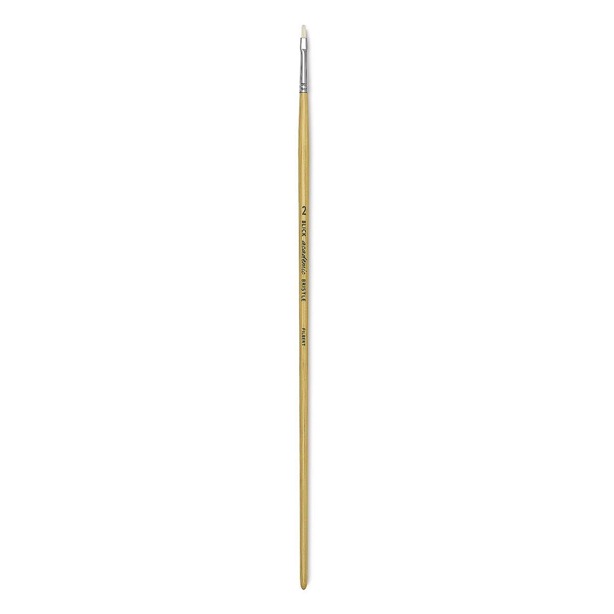 Blick Academic Bristle Brush - Filbert, Size 2