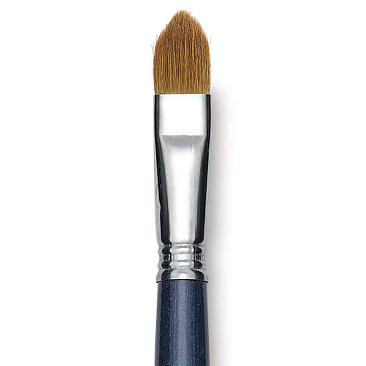 Escoda Optimo Kolinsky Sable Brush - Filbert, Long Handle, Size 16 close up