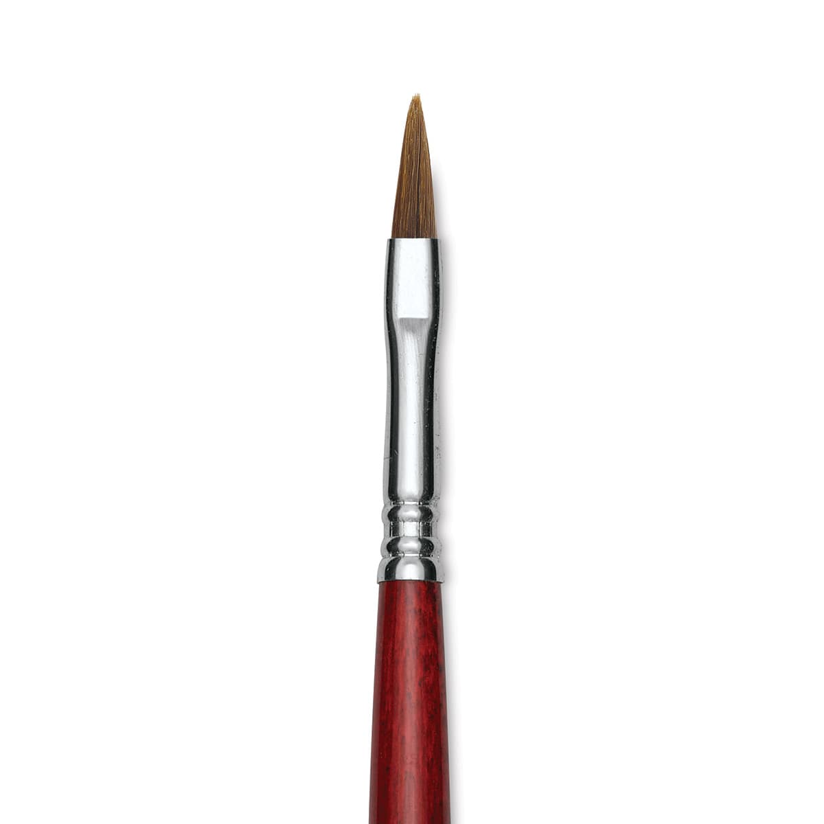 Escoda Bravo Light Ox Hair Brush - Long Filbert, Long Handle, Size 6 close up