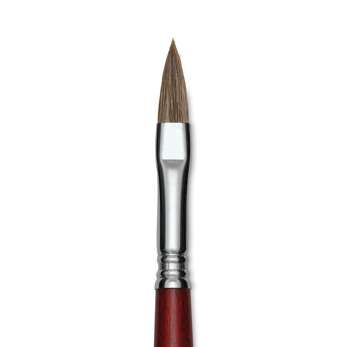 Escoda Bravo Light Ox Hair Brush - Long Filbert, Long Handle, Size 10 close up