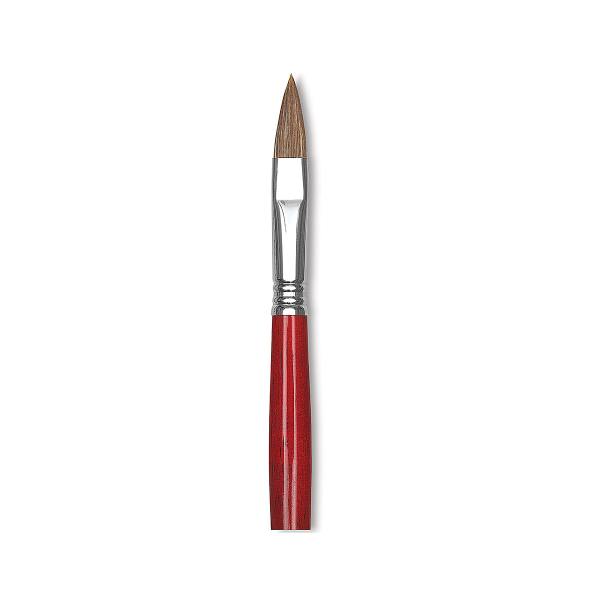Bravo Light Ox Hair Brushes - Closeup of tip of Filbert Brush