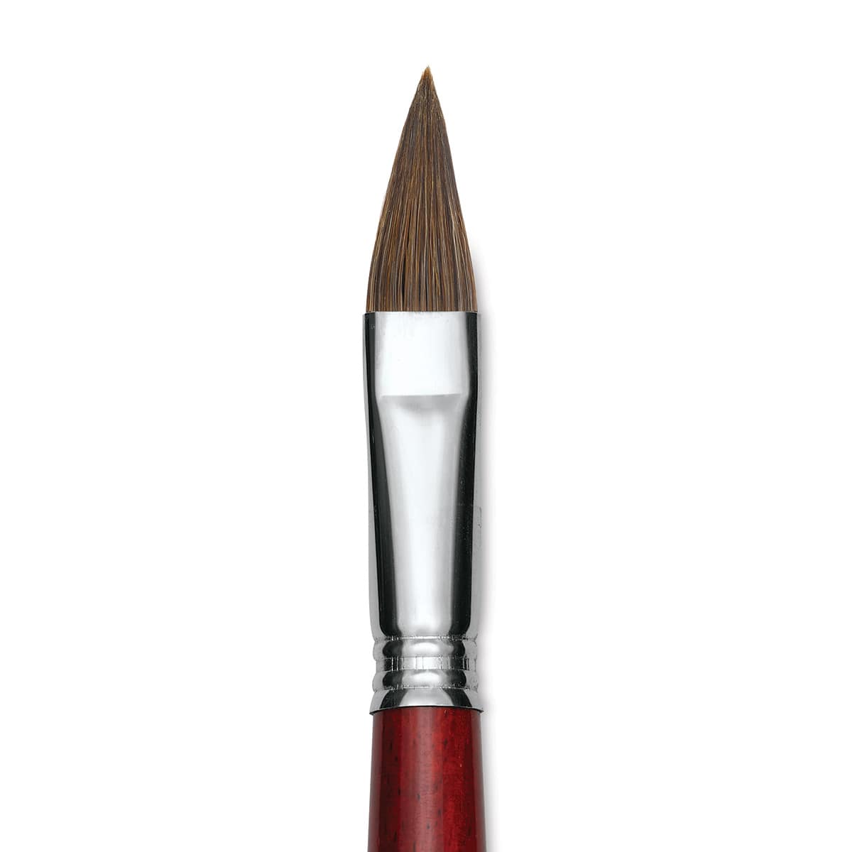 Escoda Bravo Light Ox Hair Brush - Long Filbert, Long Handle, Size 16 close up