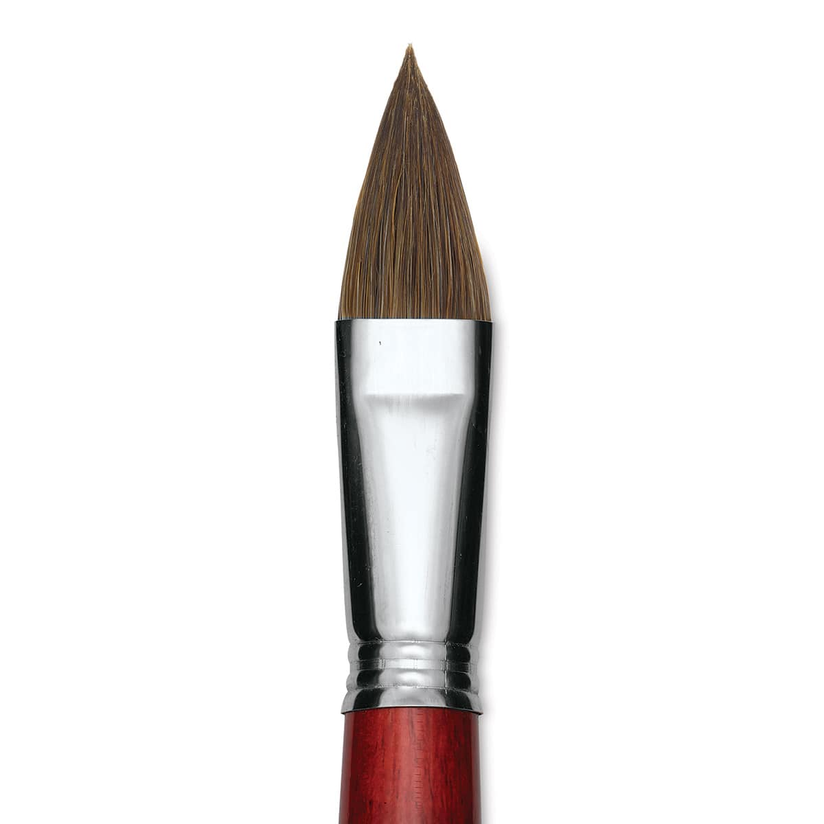 Escoda Bravo Light Ox Hair Brush - Long Filbert, Long Handle, Size 22 close up