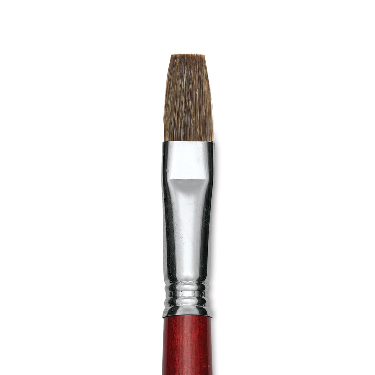Escoda Bravo Light Ox Hair Brush - Flat, Long Handle, Size 16 close up