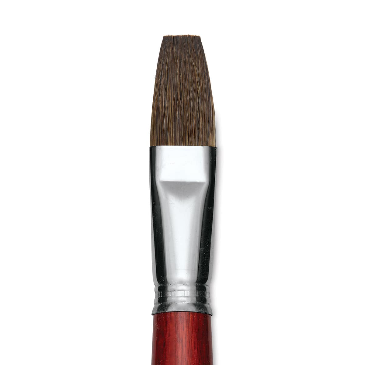 Escoda Bravo Light Ox Hair Brush - Flat, Long Handle, Size 22 close up