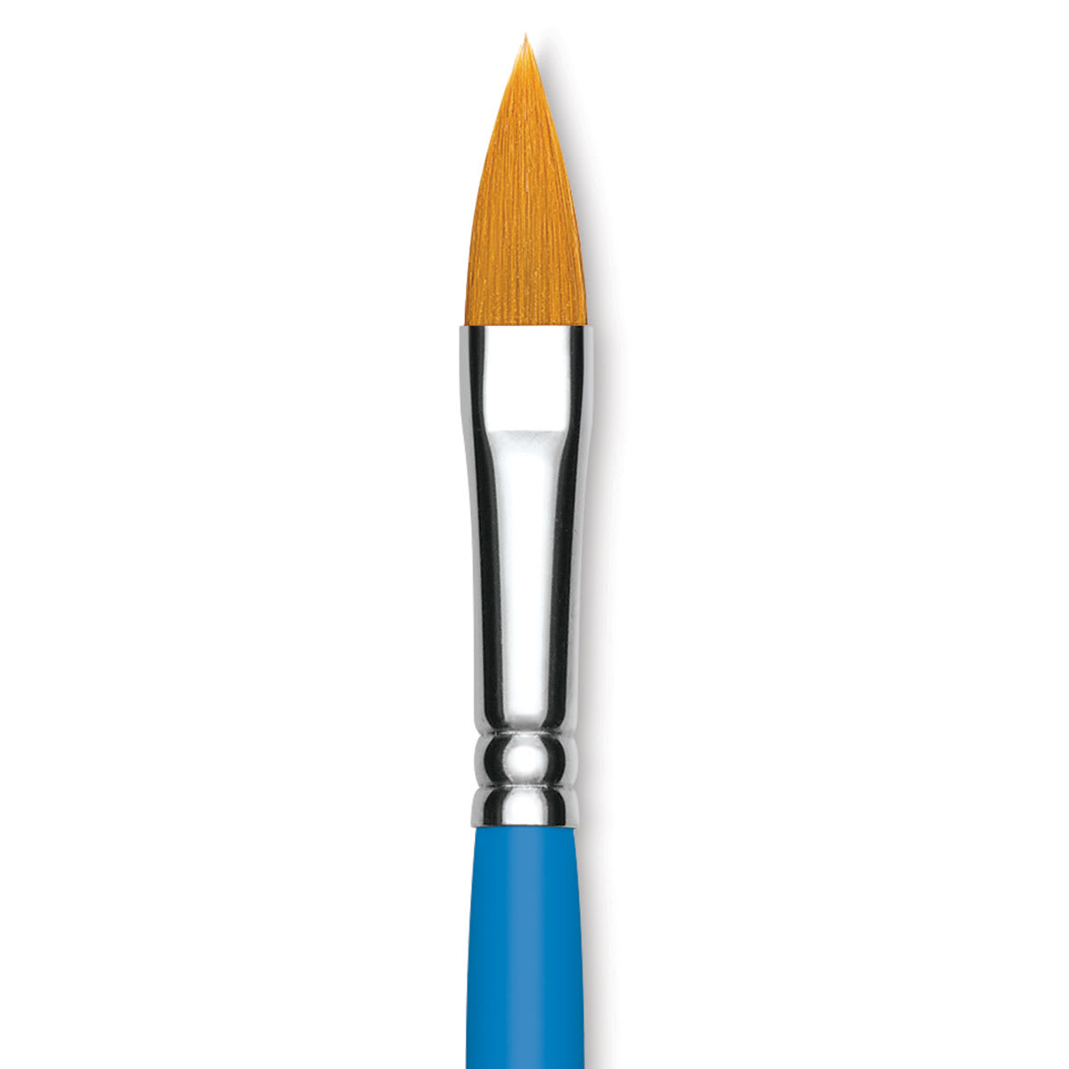 Princeton Select Synthetic Brush - Pointed Filbert, Short Handle, Size 6 close up