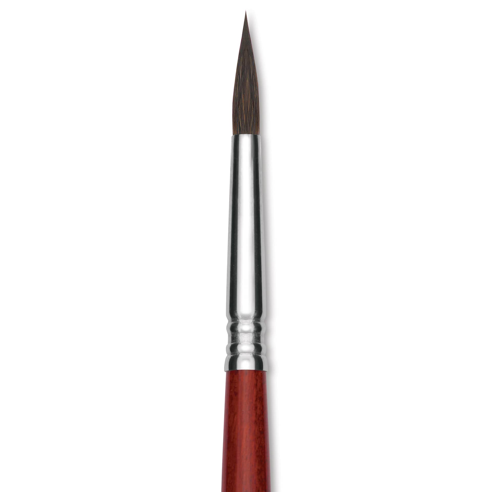 Escoda Aquario Squirrel Hair Brush - Round, Short Handle, Size 8, close-up