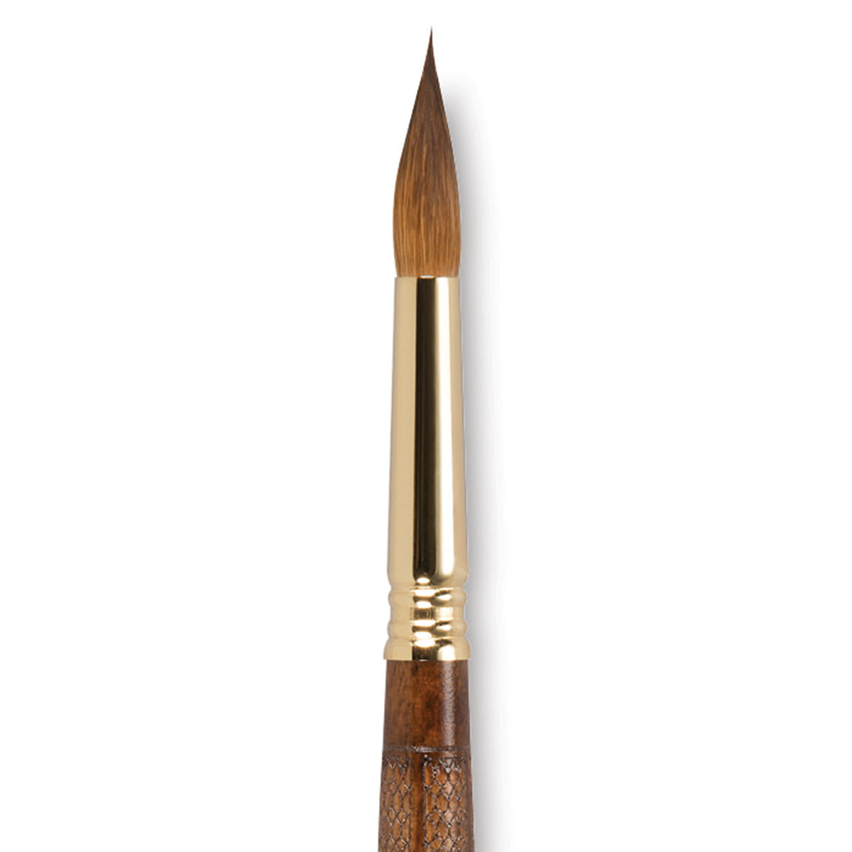 Escoda Reserva Kolinsky-Tajmyr Sable Brush - Closeup of Pointed Round, Short Handle, Size 10 Escoda Reserva Kolinsky-Tajmyr Sable Brush - Closeup of Pointed Round, Short Handle, Size 10