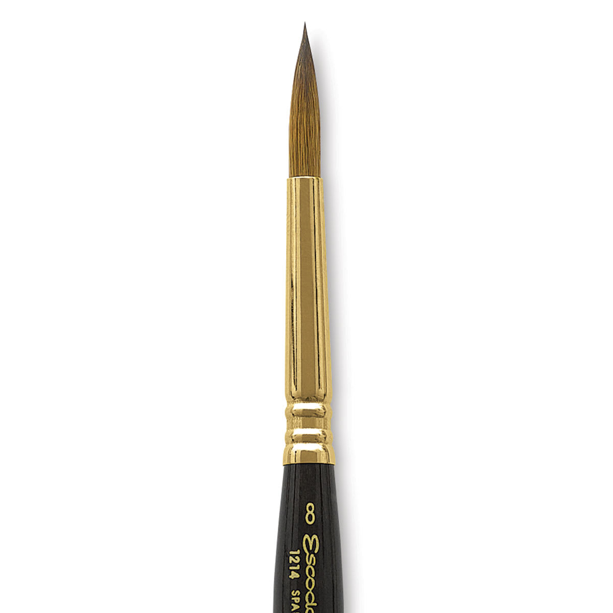 Escoda Reserva Kolinsky-Tajmyr Sable Brush - Pocket Round, Short Handle, Size 8 (close-up)