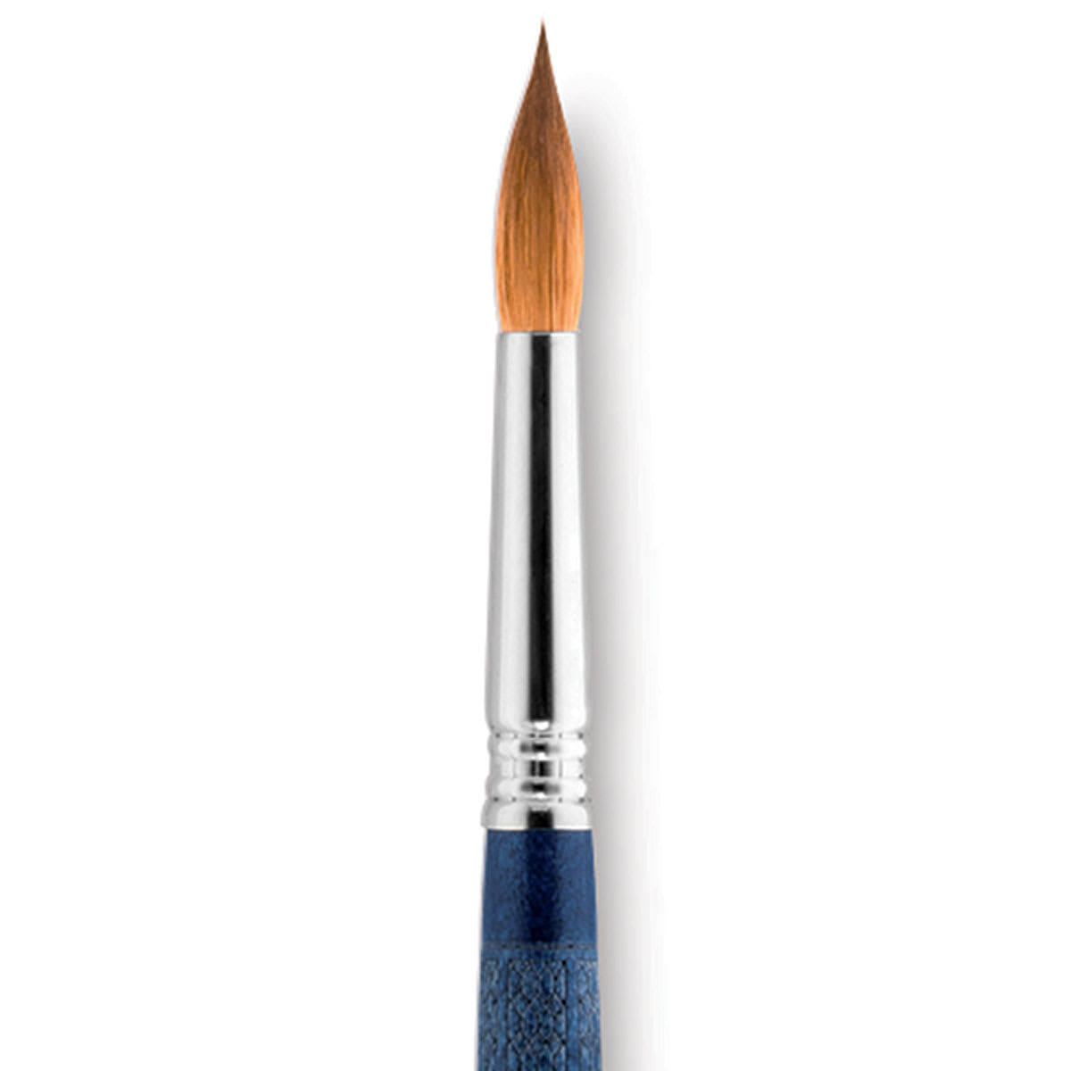 Escoda Optimo Kolinsky Sable Brush - Reservoir Liner, Short Handle, Size 12 close up