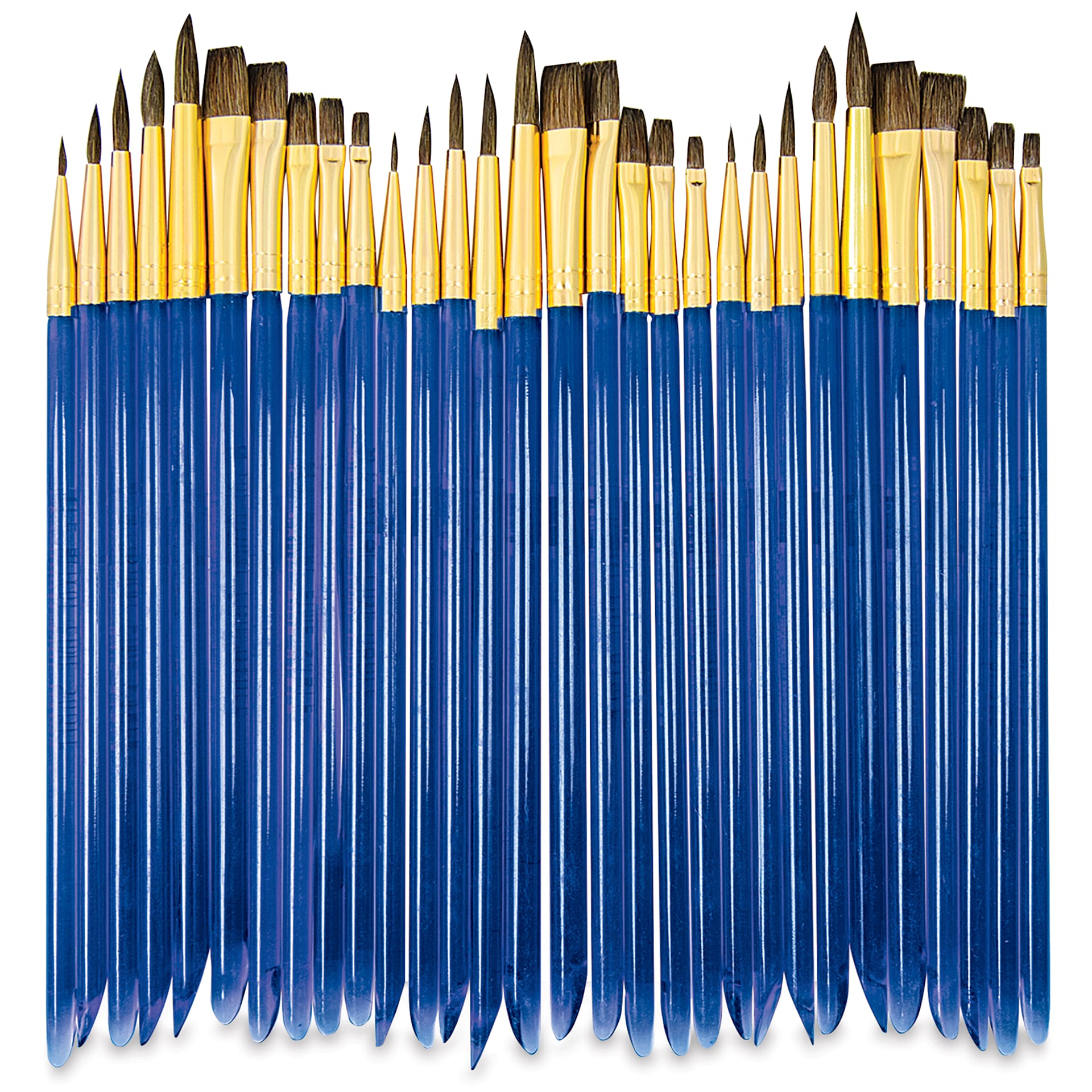 Royal Langnickel Classroom Assortment - Set of 30, all brushes laid out