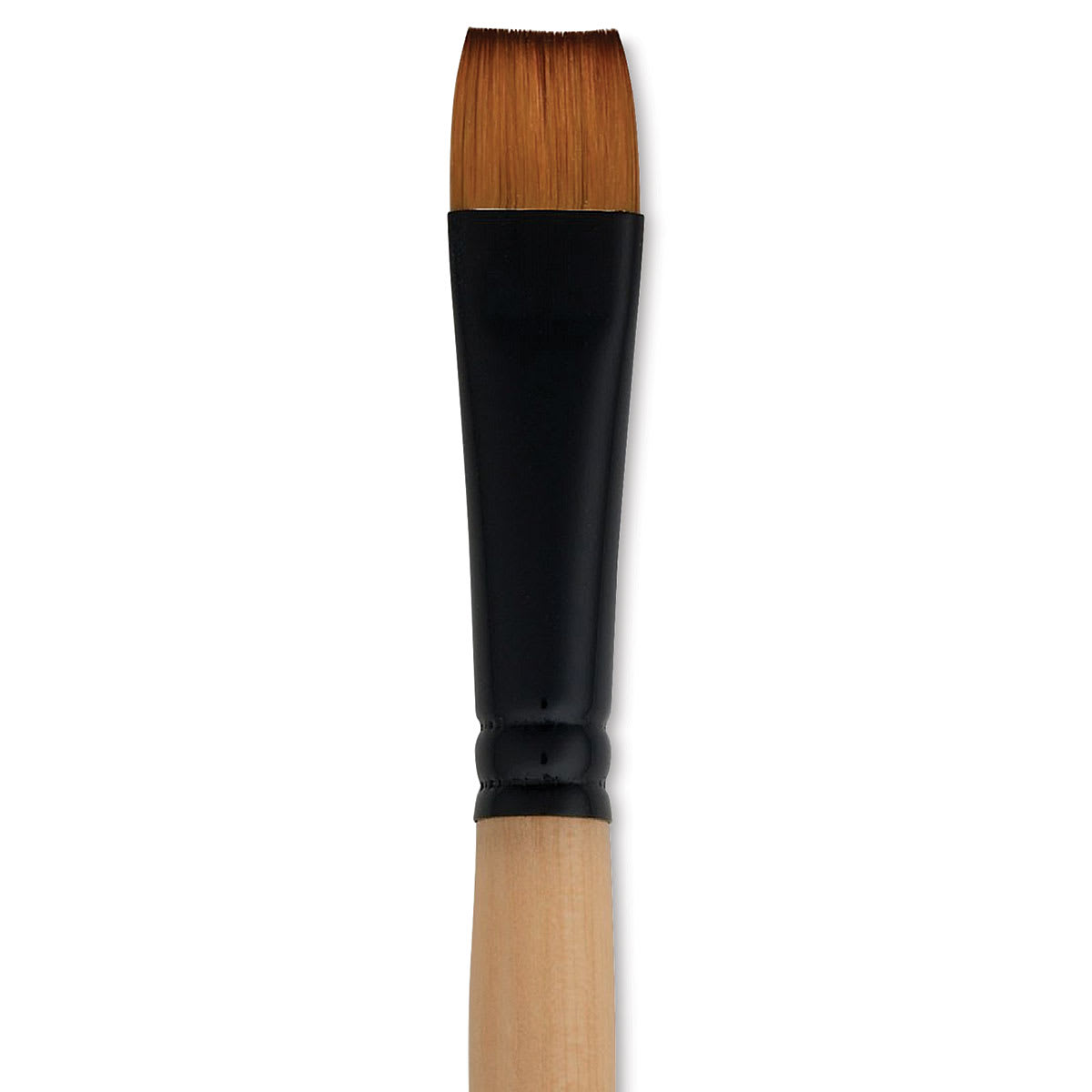 Dynasty Black Gold Brush - Chisel Blender, Short Handle, Size 16 close up