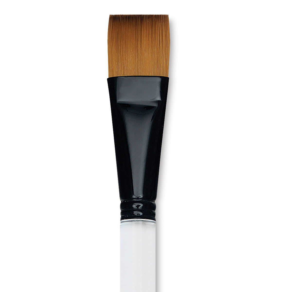 Dynasty Black Gold Brush - Flat Wash, Short Handle, Size 3/4" close up