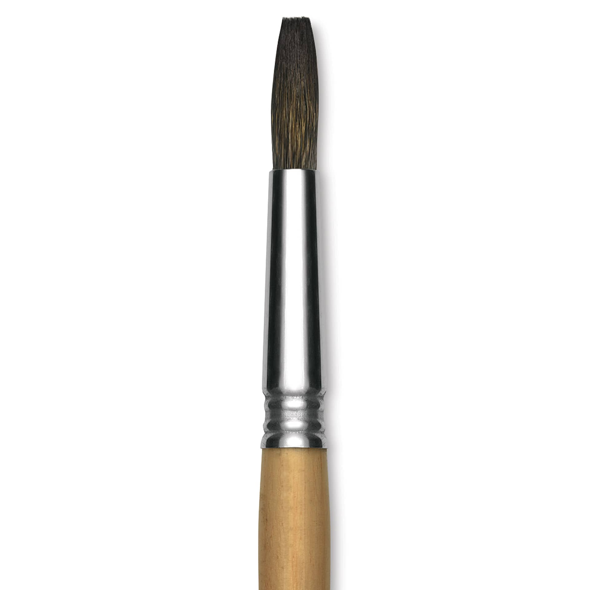 Escoda Squirrel Hair Ceramic Brush - Square Tip, Size 14 (Close-up of brush)