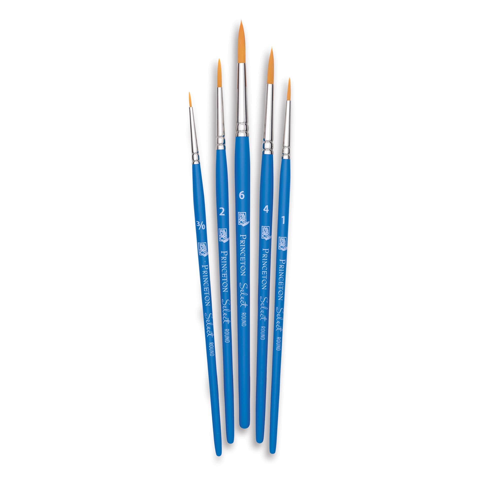 Princeton Select Brush Set - Brush Set No. 10, Set of 5 Princeton Select Brush Set - Brush Set No. 10, Set of 5