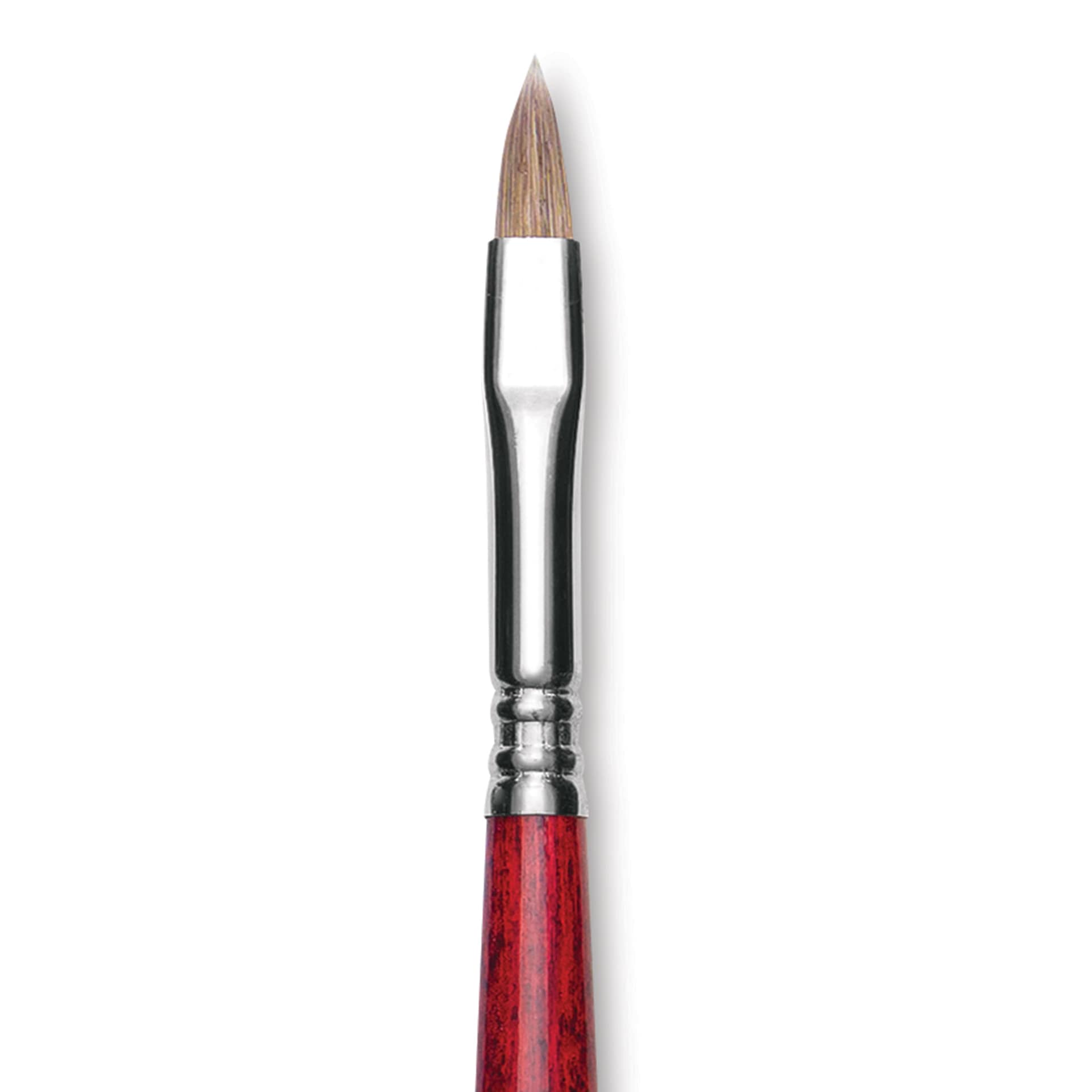 Escoda Opera Takatsu Synthetic Brush - Filbert, Long Handle, Size 8 (Close-up of brush)