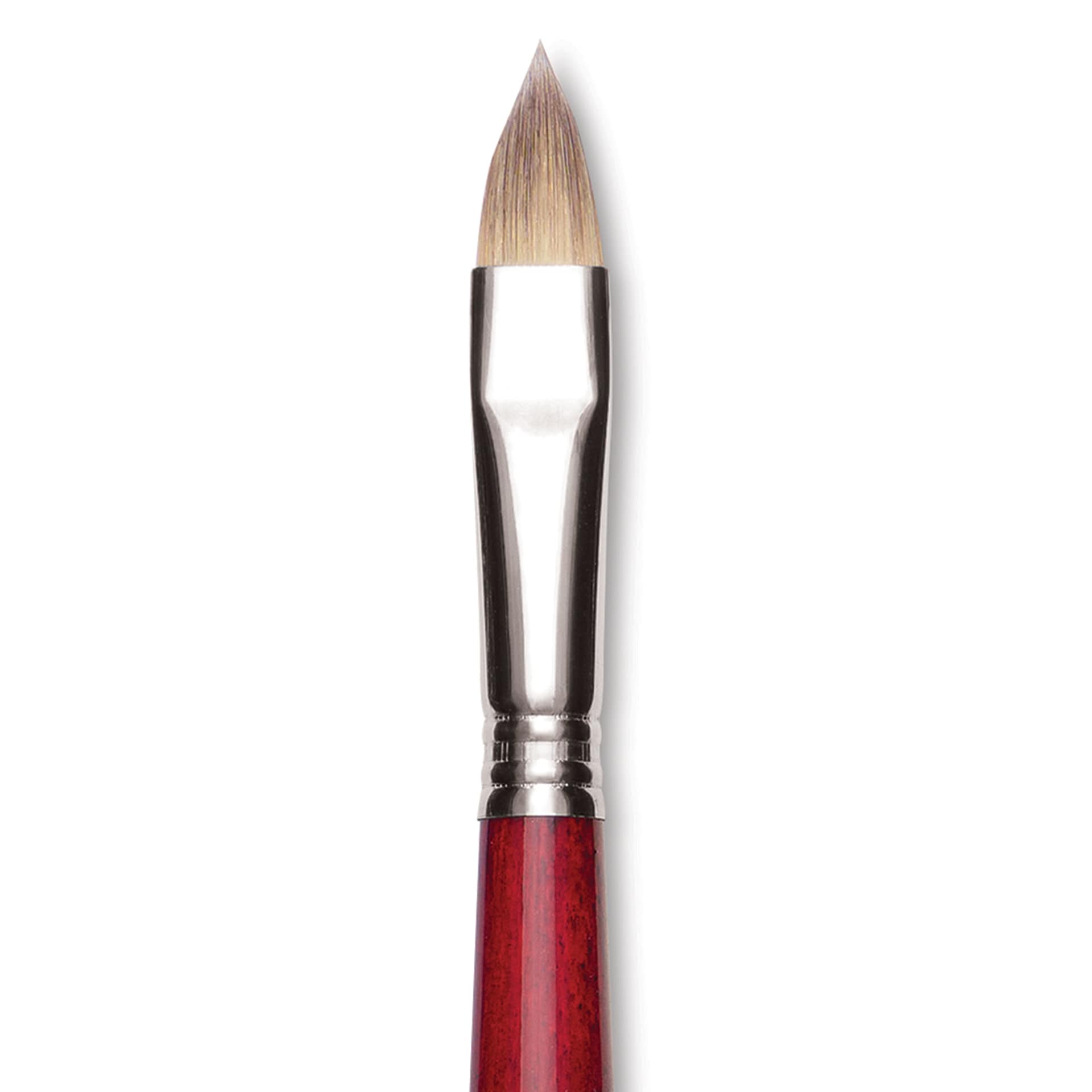 Escoda Opera Takatsu Synthetic Brush - Filbert, Long Handle, Size 12 (Close-up of brush)