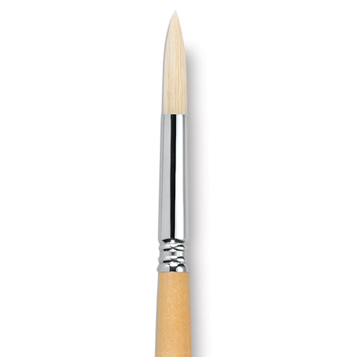 Escoda Clasico Chungking White Bristle Brush - Round, Long Handle, Size 12 close up