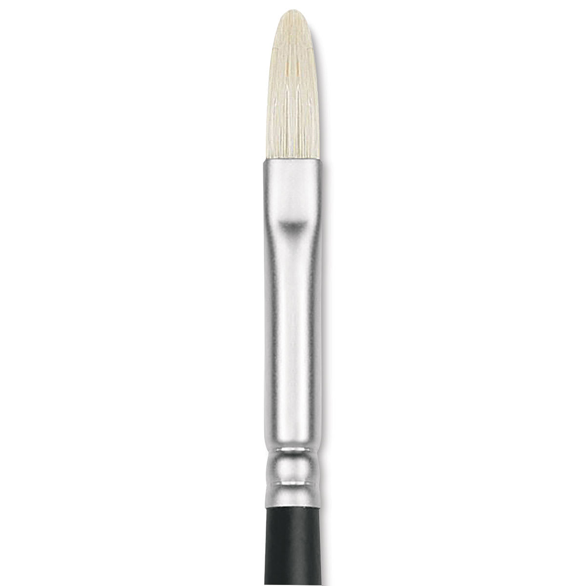 Winsor & Newton Artists' Oil Brush - Filbert, Long Handle, Size 2