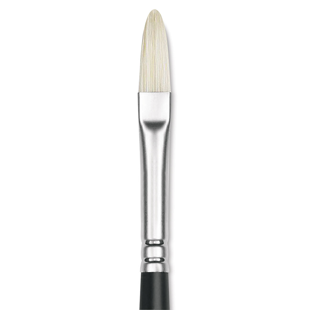 Winsor & Newton Artists' Oil Brush - Filbert, Long Handle, Size 3