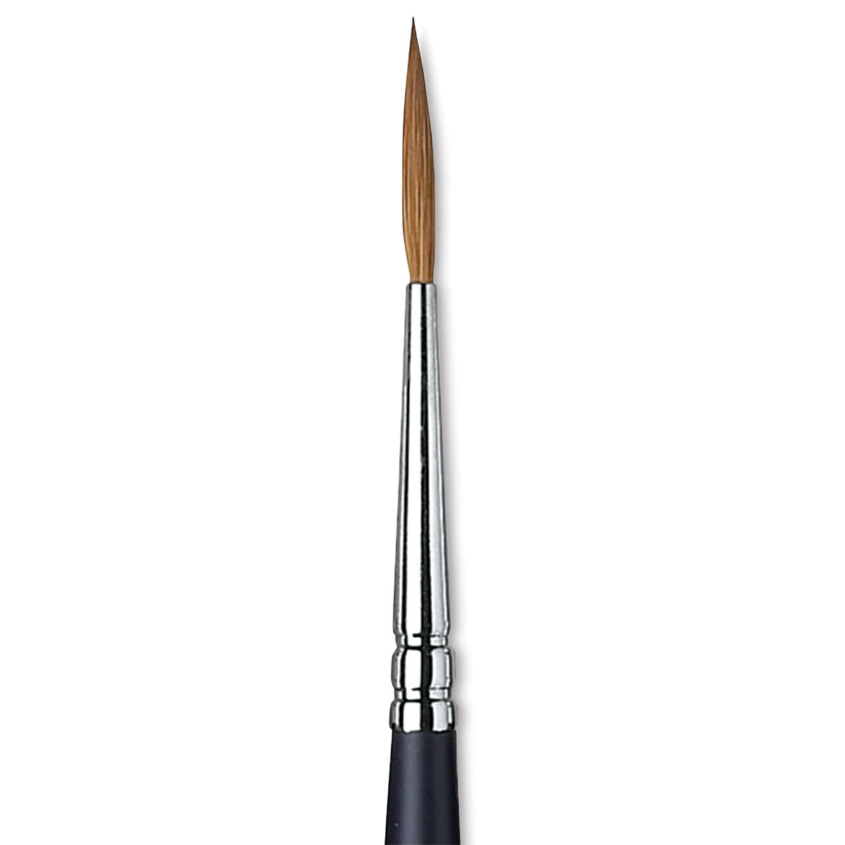 Winsor & Newton Artists' Kolinsky Sable Watercolor Brush - Rigger, Short Handle, Size 2