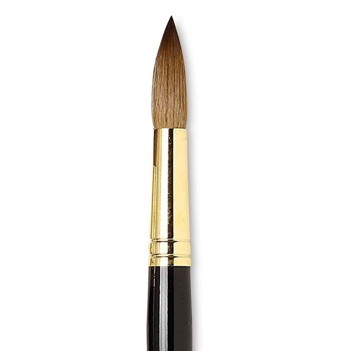 Da Vinci Maestro Kolinsky Brush - Full Belly Round, Short Handle, Size 24 close up
