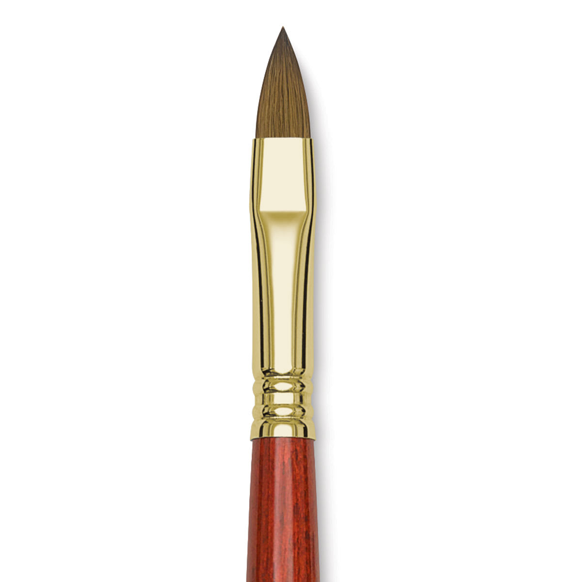 Blick Master Kolinsky Sable Brush - Filbert, Short Handle, Size 10 close up