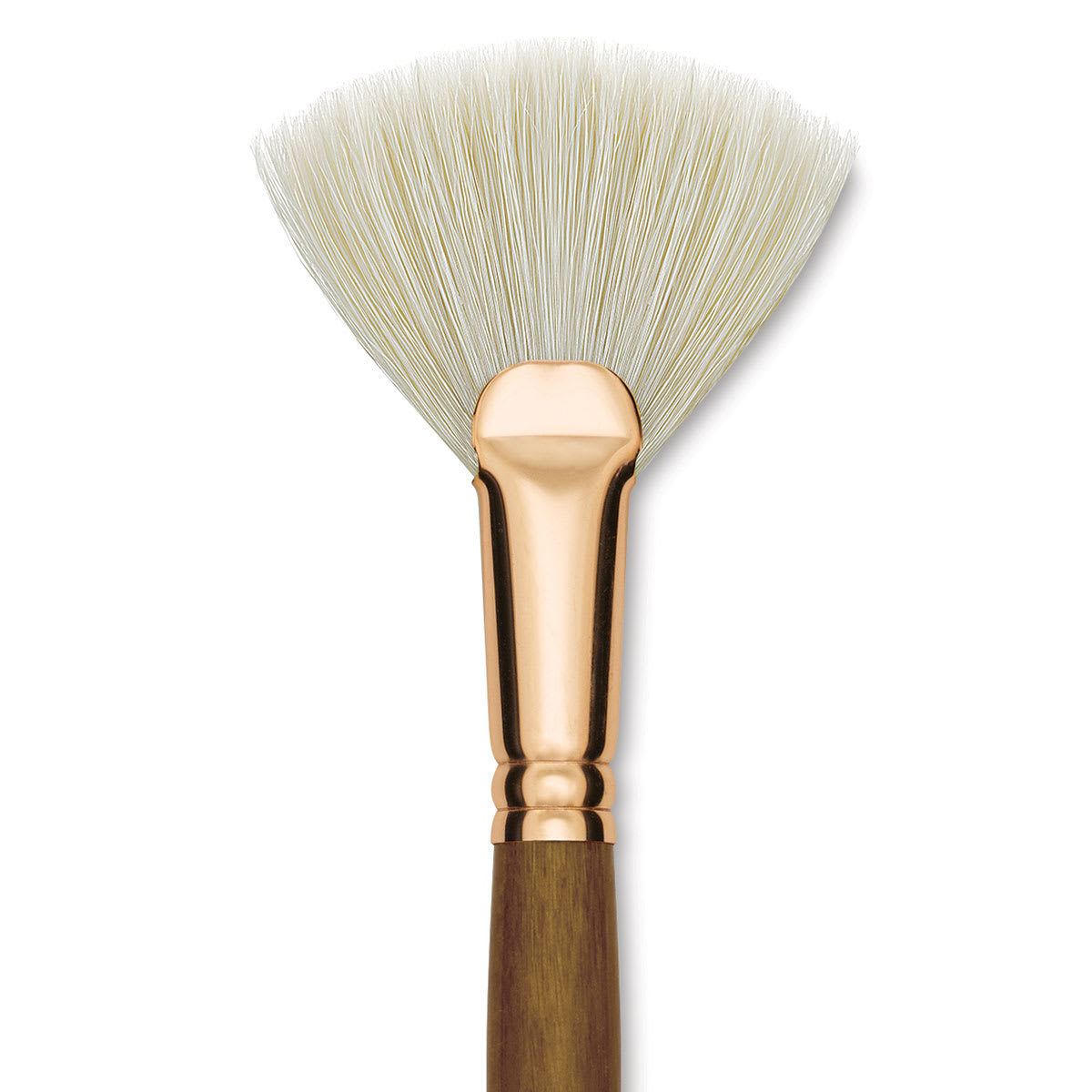 Princeton Best Natural Bristle Brush - Fan, Long Handle, Size 12 close up