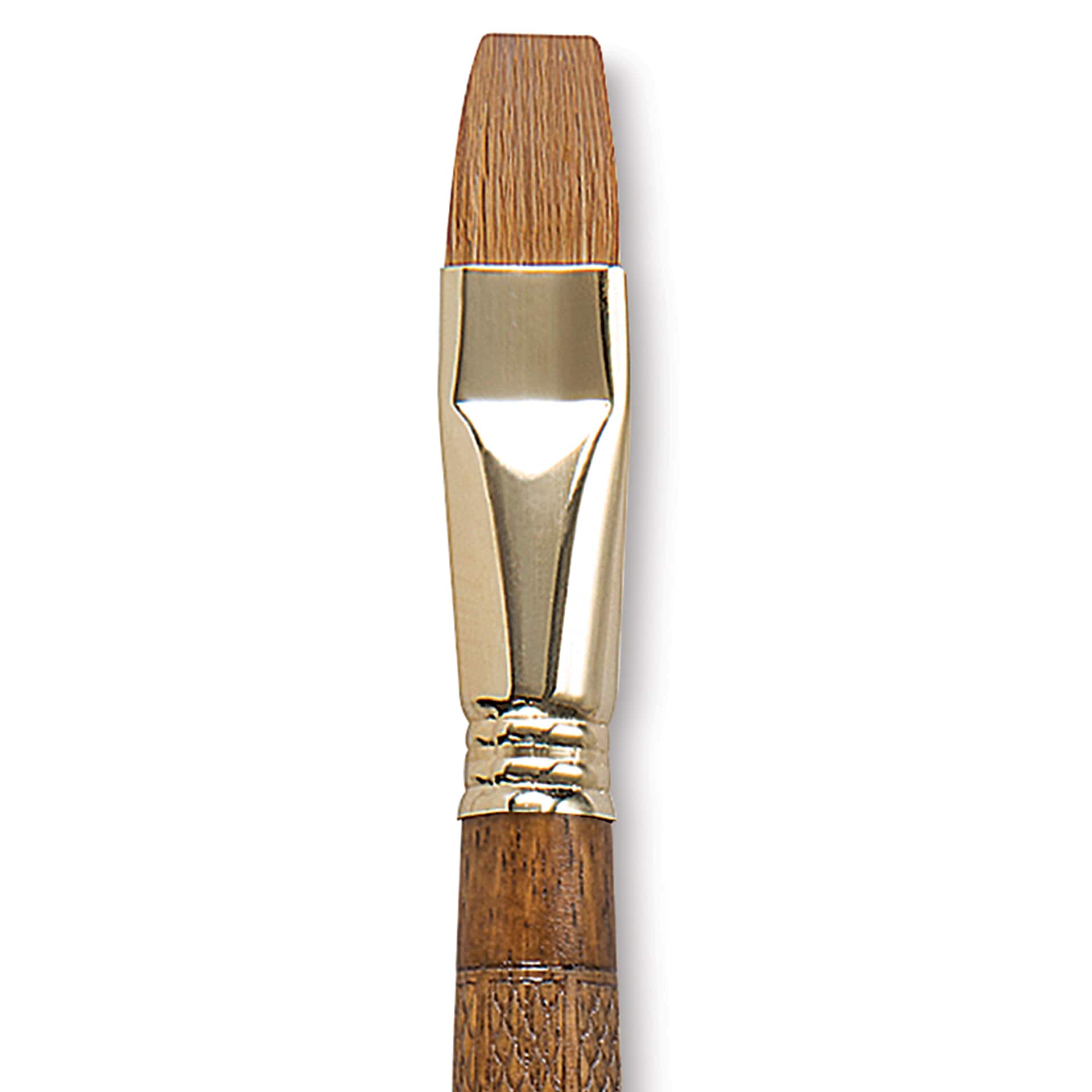 Escoda Reserva Kolinsky-Tajmyr Sable Brush - Bright, Long Handle, Size 18 close up