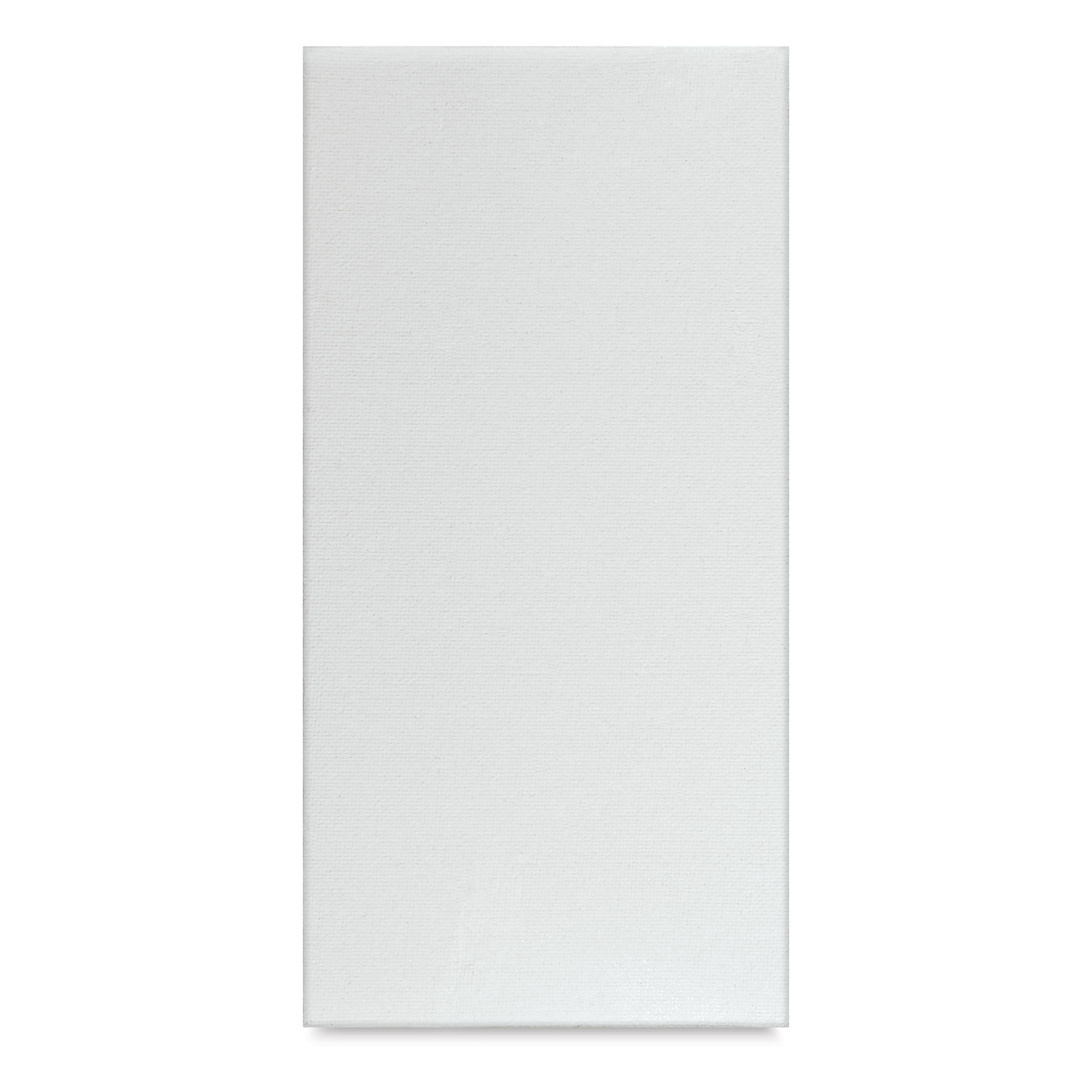 Blick Studio Cotton Canvas Panel - 4" x 8"