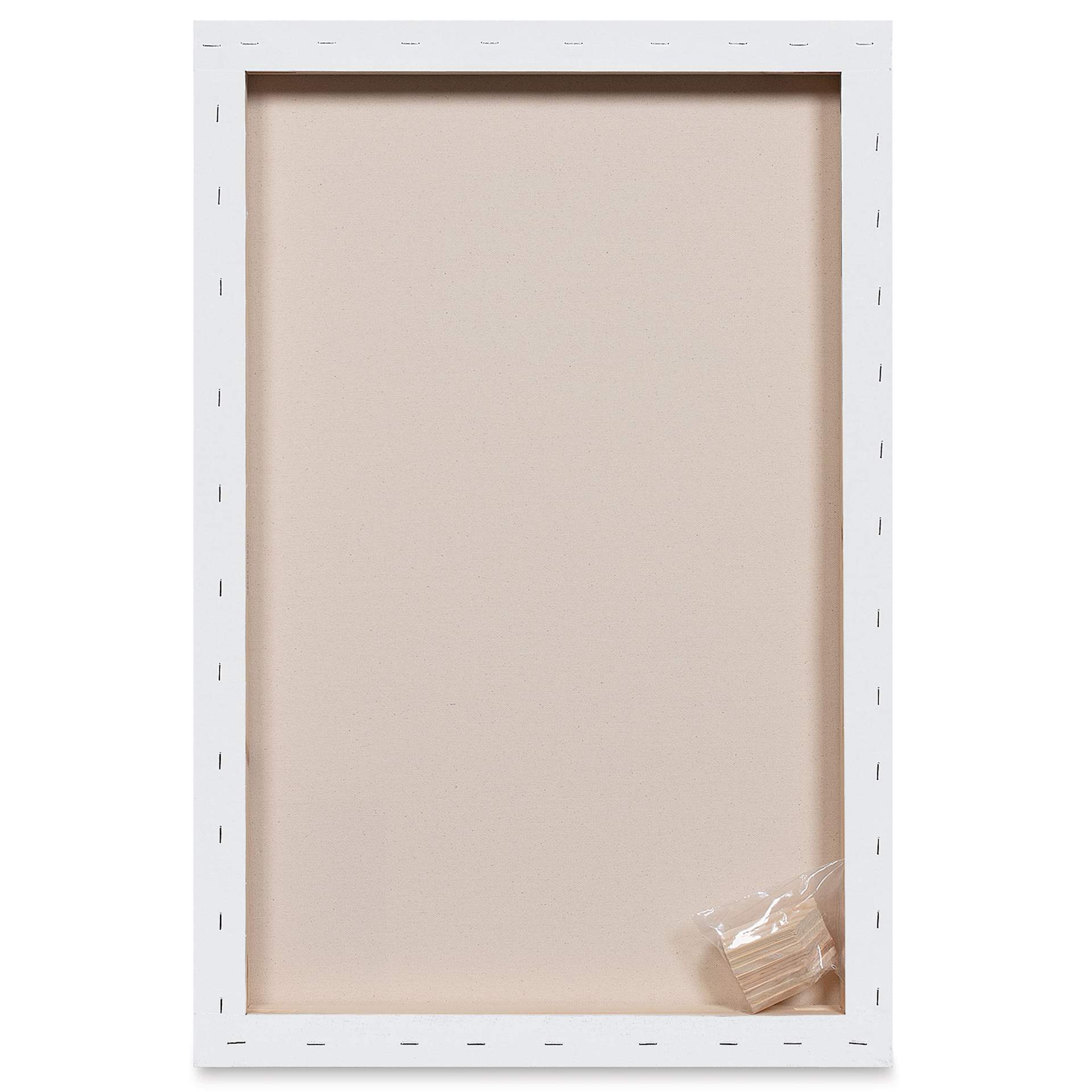 Blick Premier Stretched Cotton Canvas - Gallery Profile, Back-Stapled, 20" x 30"